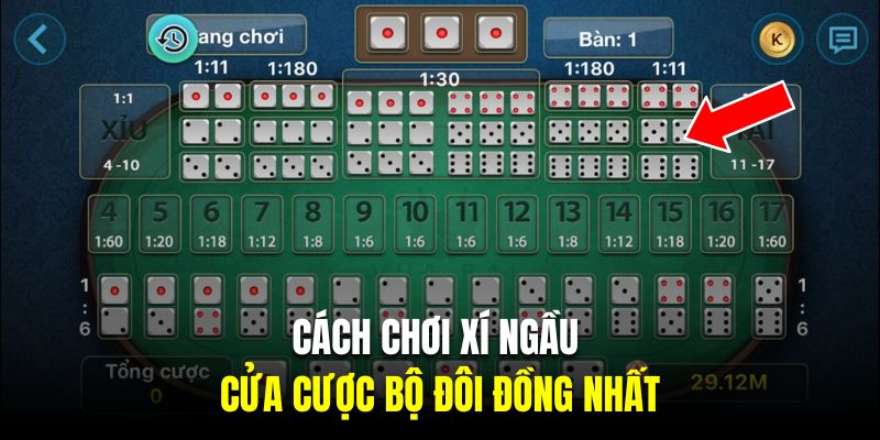 Cách chơi xí ngầu với cửa cược bộ đôi đồng nhất