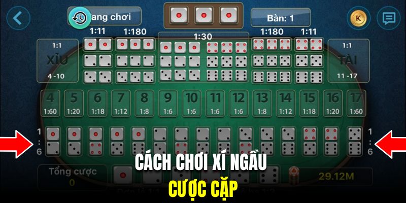 Cách chơi xí ngầu với cửa cược cặp