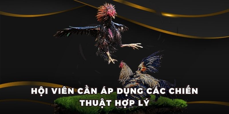 Hội viên cần áp dụng các chiến thuật hợp lý