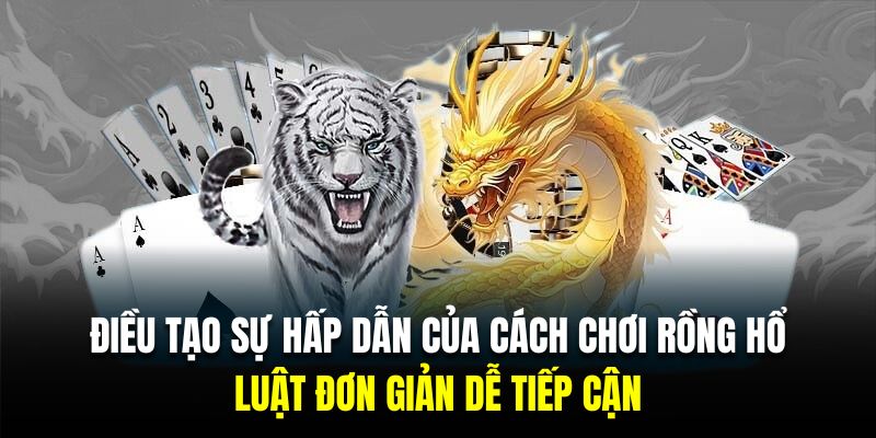 Cách chơi rồng hổ yêu cầu hội viên nắm rõ tỷ lệ cược